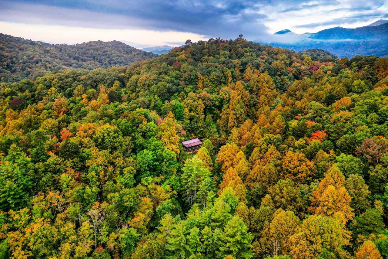 Вілла Brysons Hidden Valley Ranch - Quiet Nc Cabin! Брайсон-Сіті Екстер'єр фото